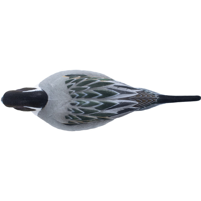 Live Fully Flocked Pintail, 6 Pack