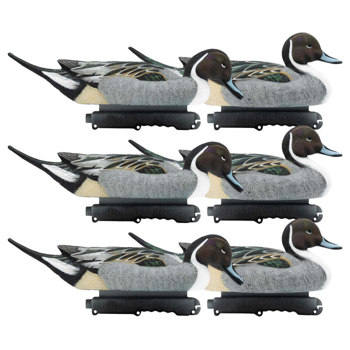 HD Pintail Floating Duck Decoys,  6 Pack