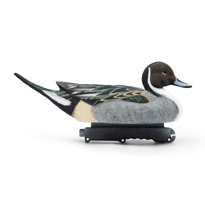 HD Pintail Floating Duck Decoys,  6 Pack