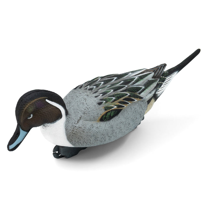 HD Pintail Floating Duck Decoys,  6 Pack