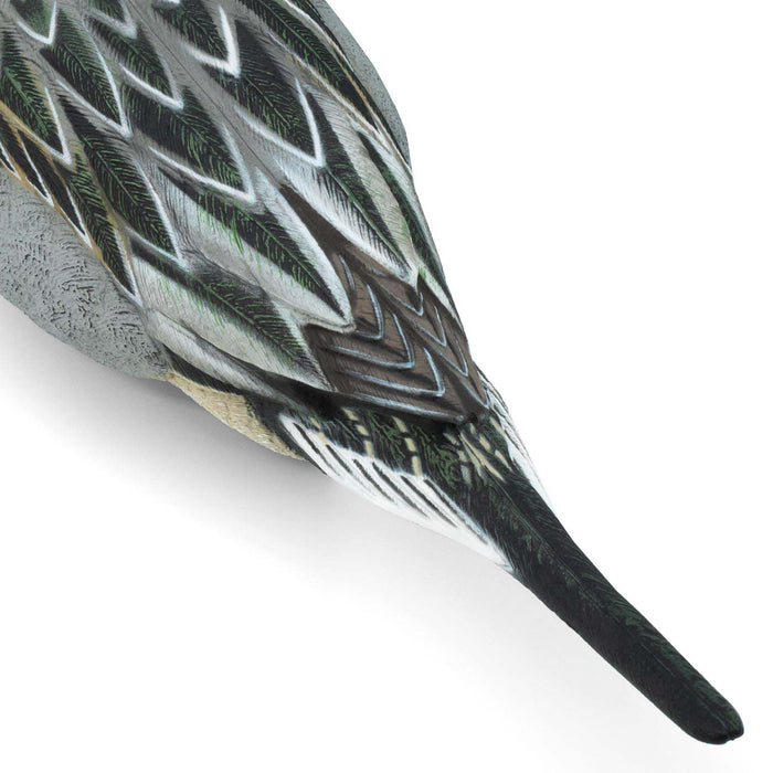 HD Pintail Floating Duck Decoys,  6 Pack