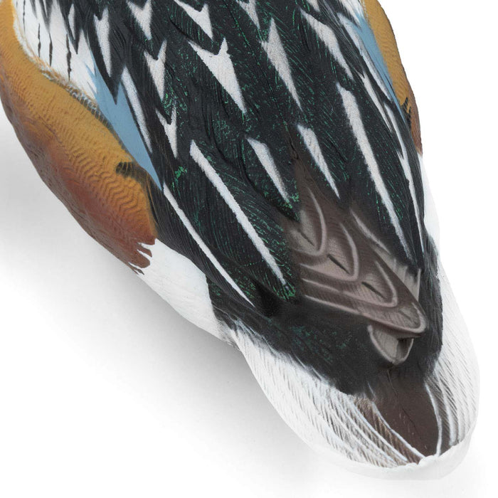 HD Northern Shoveler Floating Duck Decoys, 6 Pack