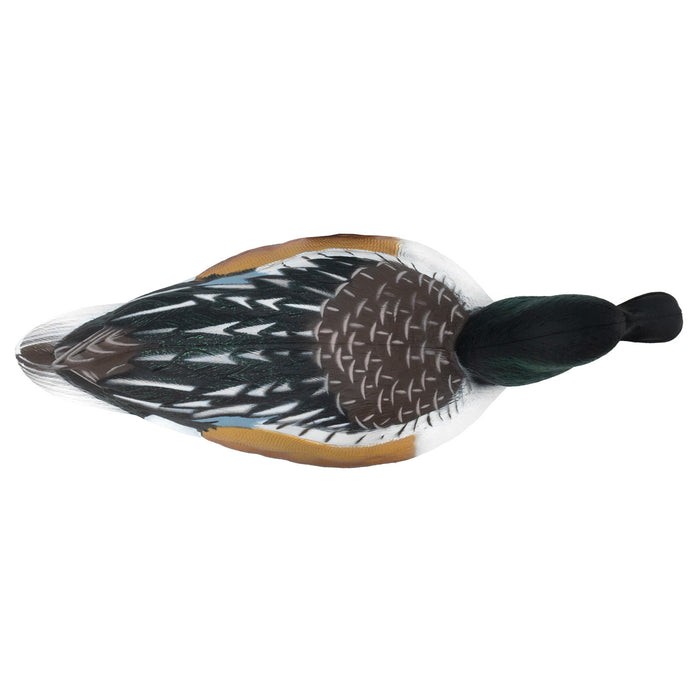 HD Northern Shoveler Floating Duck Decoys, 6 Pack