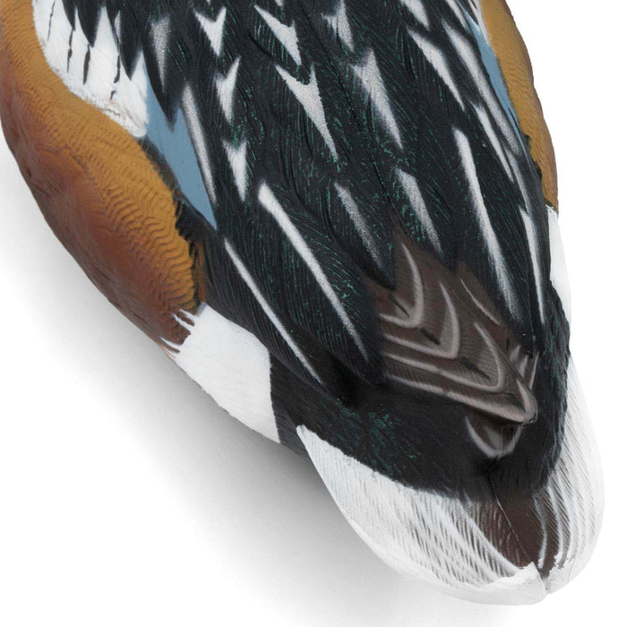 HD Northern Shoveler Floating Duck Decoys, 6 Pack