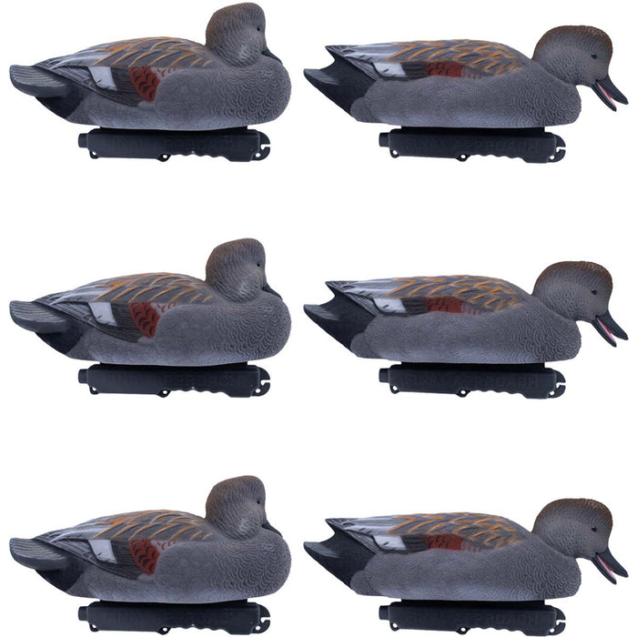 LIVE Fully Flocked Gadwall, 6 Pack