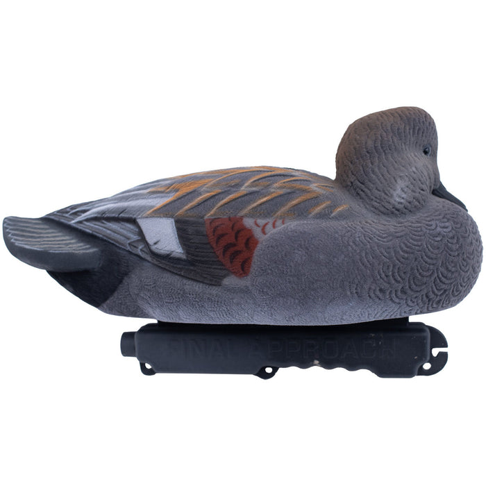 LIVE Fully Flocked Gadwall, 6 Pack