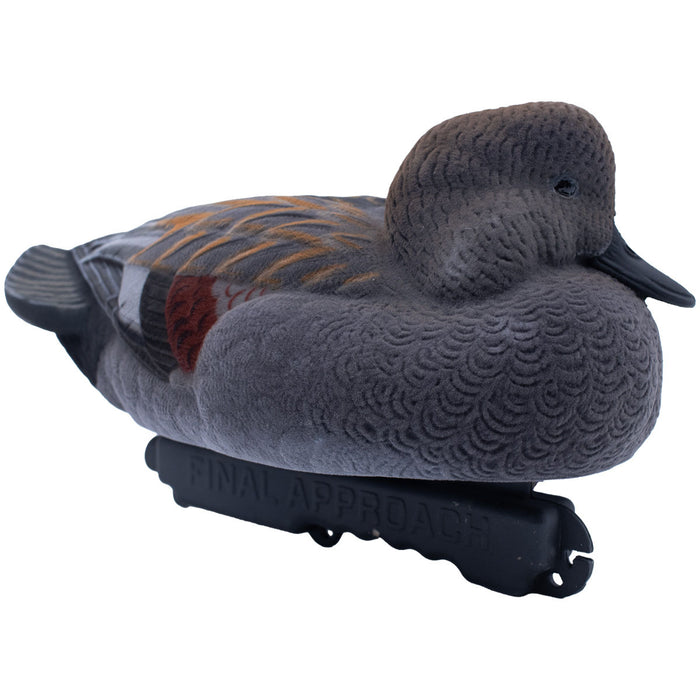 LIVE Fully Flocked Gadwall, 6 Pack