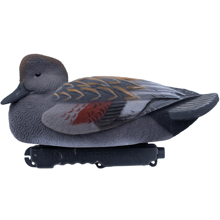 LIVE Fully Flocked Gadwall, 6 Pack