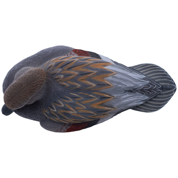 LIVE Fully Flocked Gadwall, 6 Pack