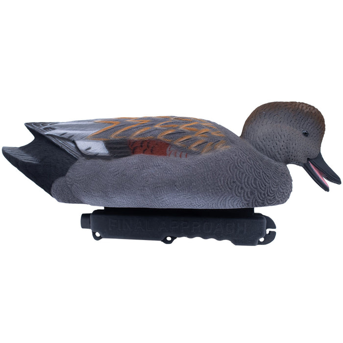 LIVE Fully Flocked Gadwall, 6 Pack