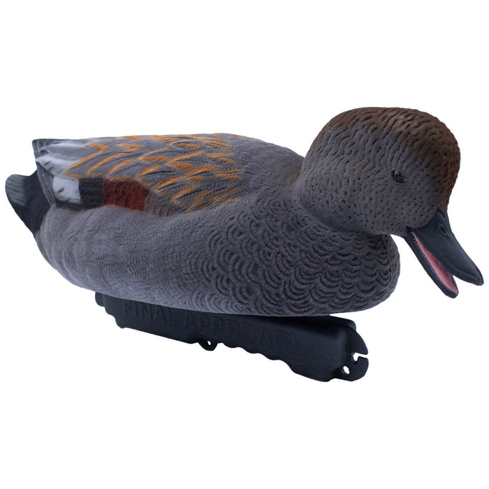 LIVE Fully Flocked Gadwall, 6 Pack