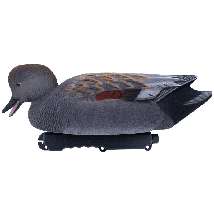 LIVE Fully Flocked Gadwall, 6 Pack