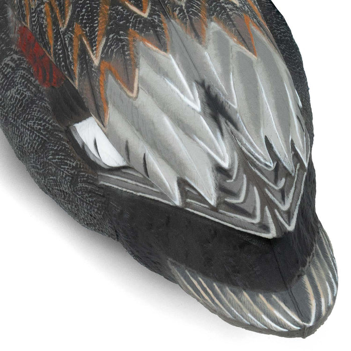 HD Gadwall Floating Duck Decoys, 6 Pack
