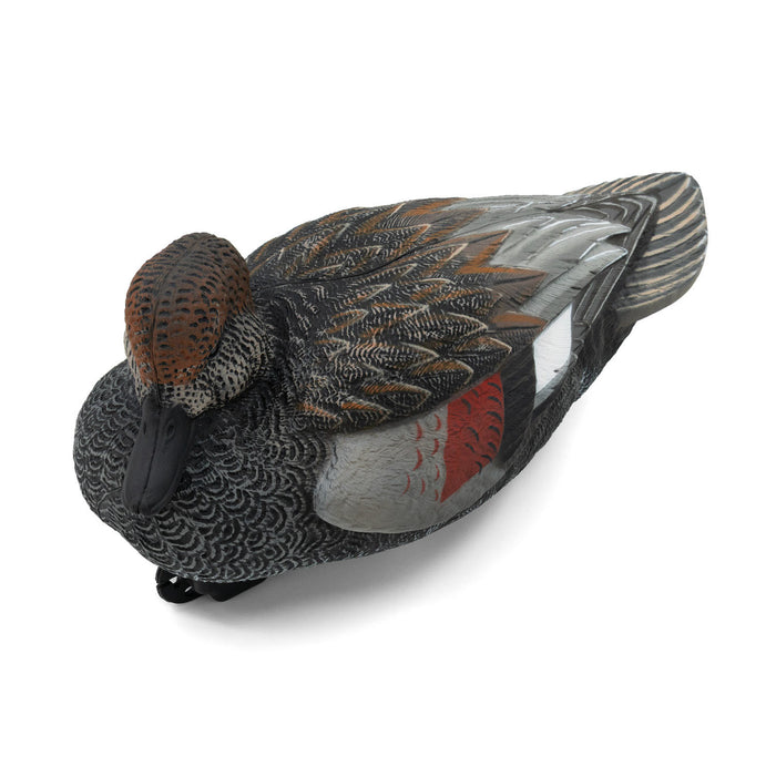 HD Gadwall Floating Duck Decoys, 6 Pack