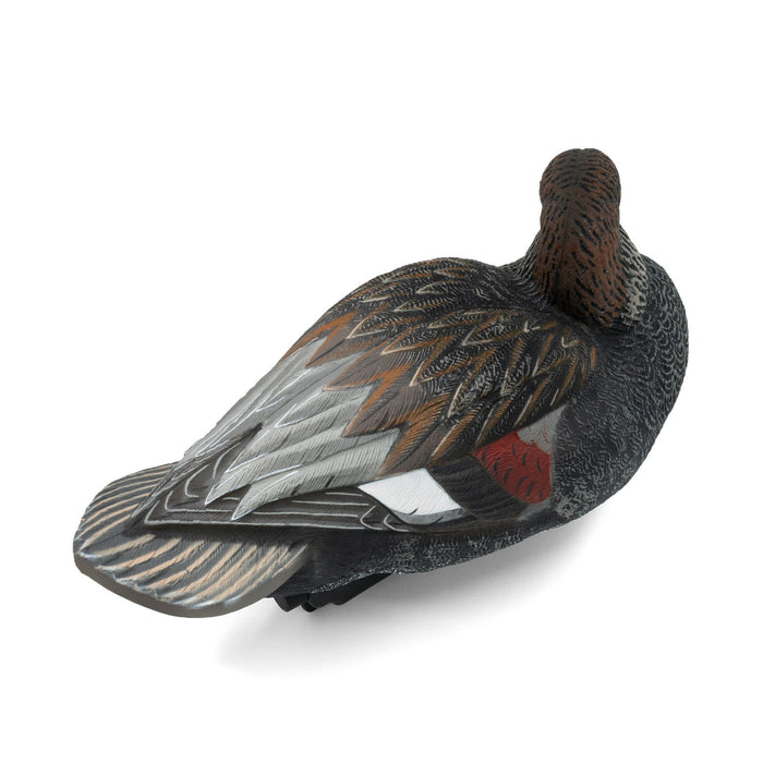 HD Gadwall Floating Duck Decoys, 6 Pack