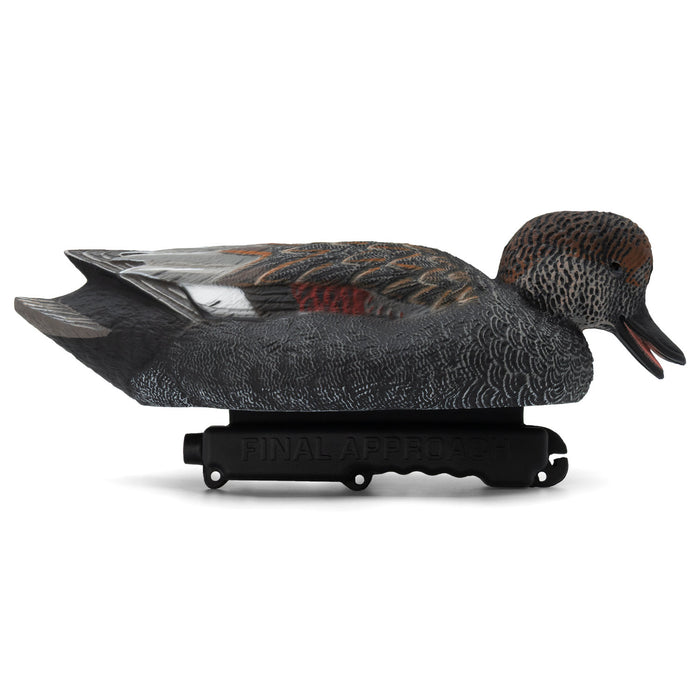 HD Gadwall Floating Duck Decoys, 6 Pack