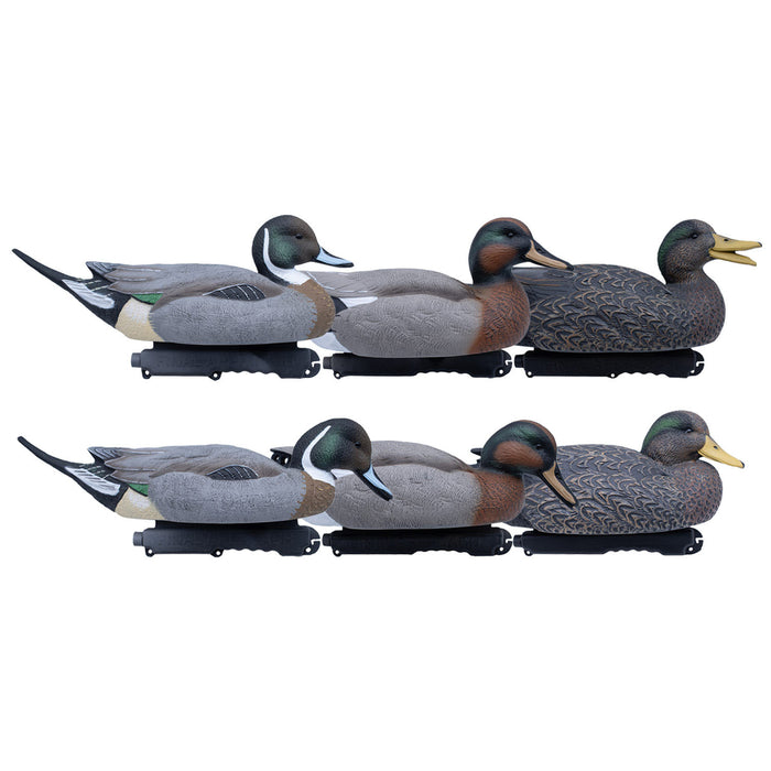 FA LIVE Mallard Hybrid 6 Pack