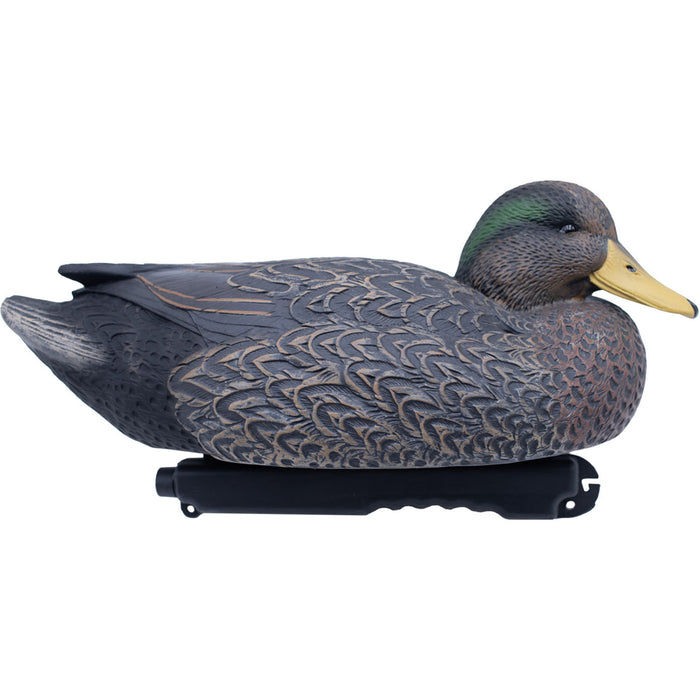 FA LIVE Mallard Hybrid 6 Pack