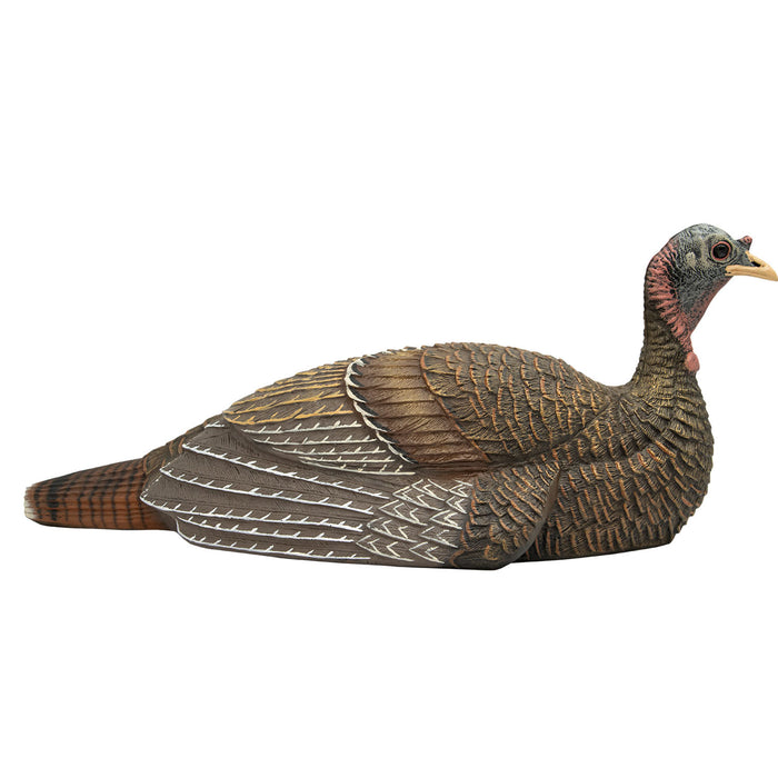 Live Laydown Hen Decoy