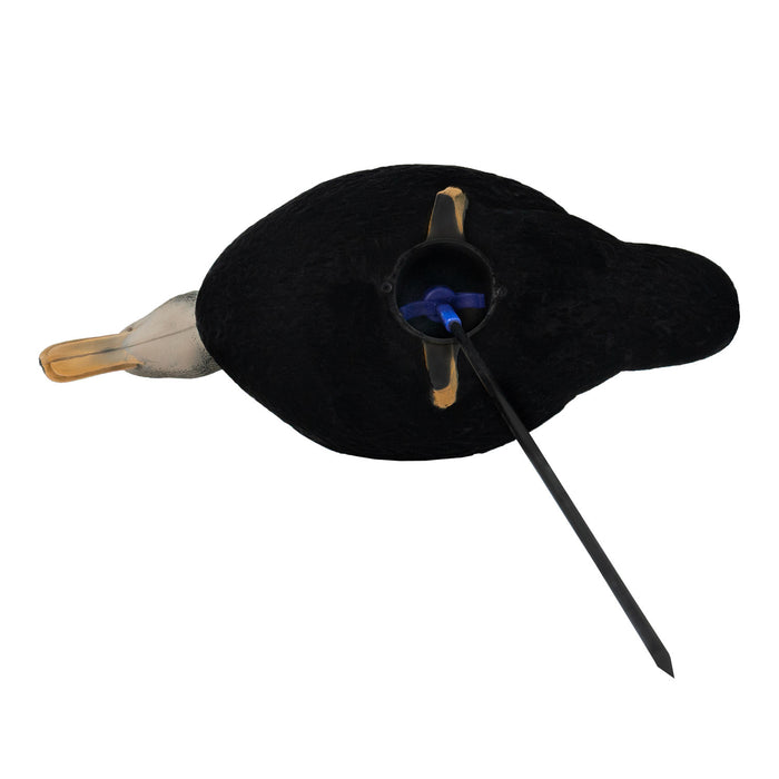 HD Fully Flocked Full Body Black Ducks, 6 Pack