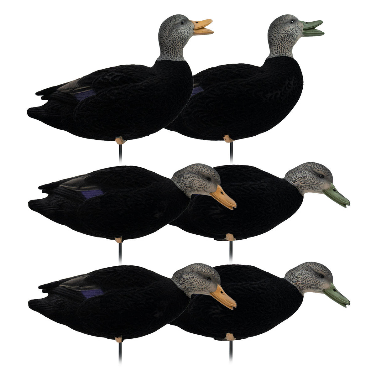 HD Fully Flocked Full Body Black Ducks, 6 Pack | Final Approach Waterfowl
