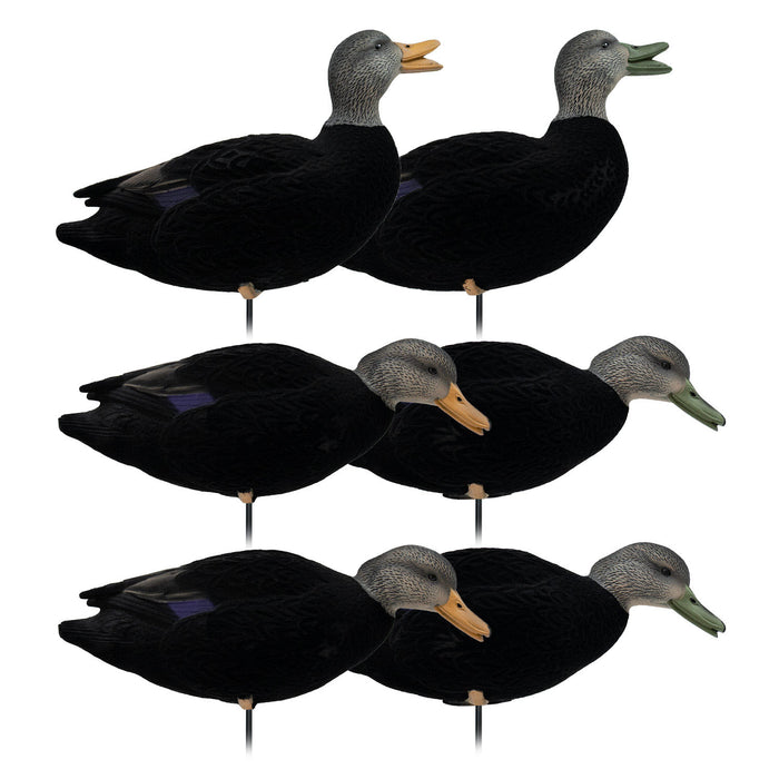 HD Fully Flocked Full Body Black Ducks, 6 Pack