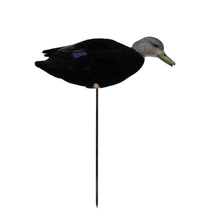 HD Fully Flocked Full Body Black Ducks, 6 Pack