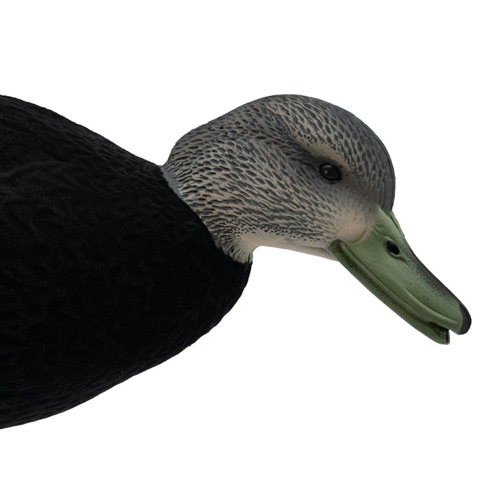 HD Fully Flocked Full Body Black Ducks, 6 Pack
