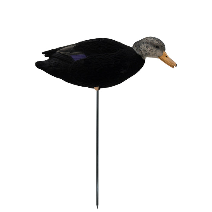 HD Fully Flocked Full Body Black Ducks, 6 Pack