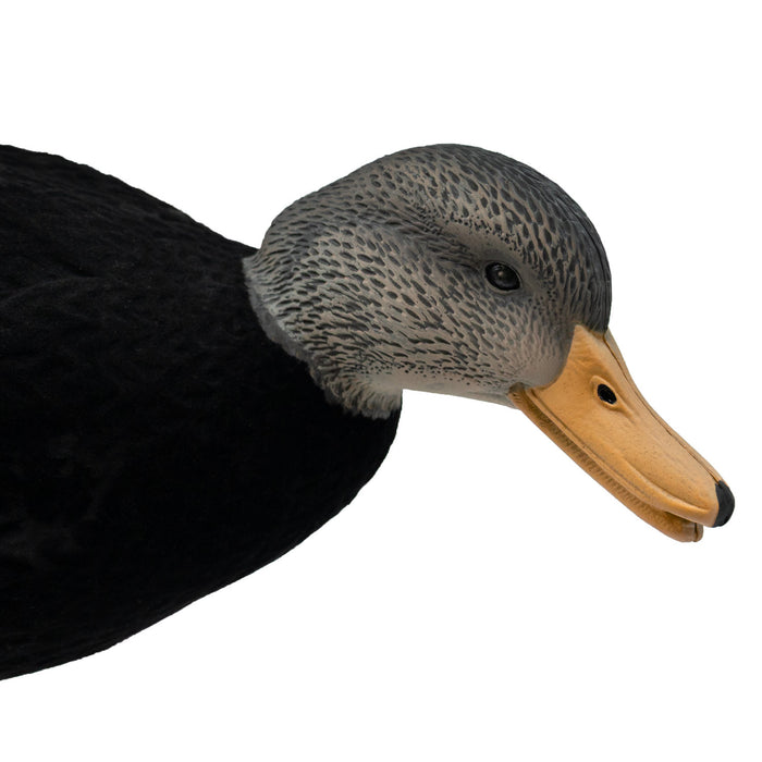 HD Fully Flocked Full Body Black Ducks, 6 Pack