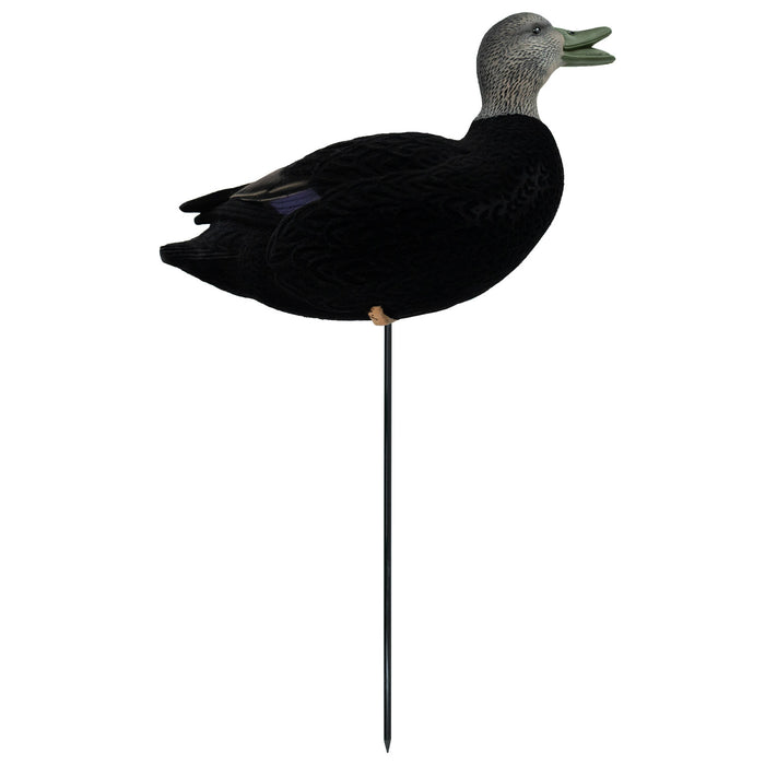 HD Fully Flocked Full Body Black Ducks, 6 Pack