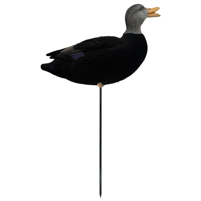 HD Fully Flocked Full Body Black Ducks, 6 Pack
