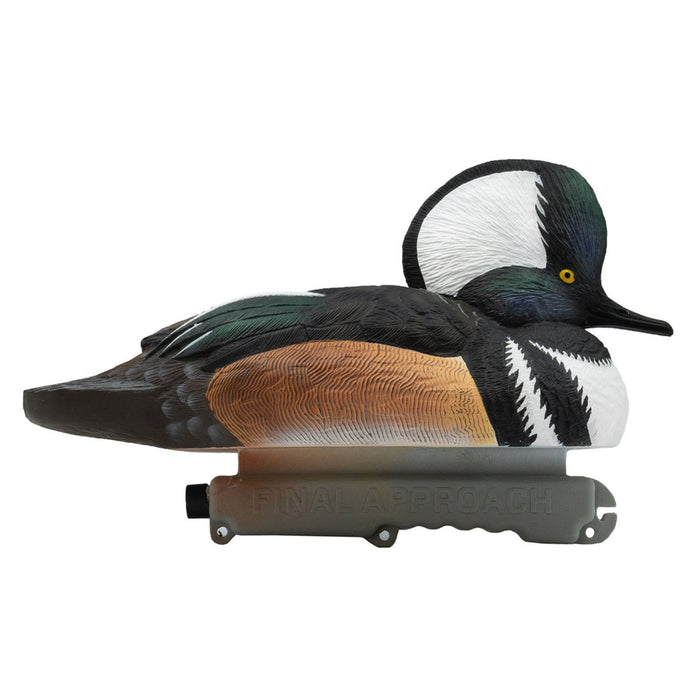 Live Hooded Merganser Duck Decoys, 6 Pack