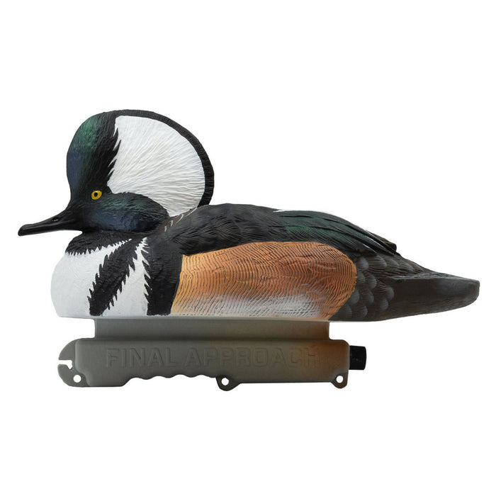 Live Hooded Merganser Duck Decoys, 6 Pack