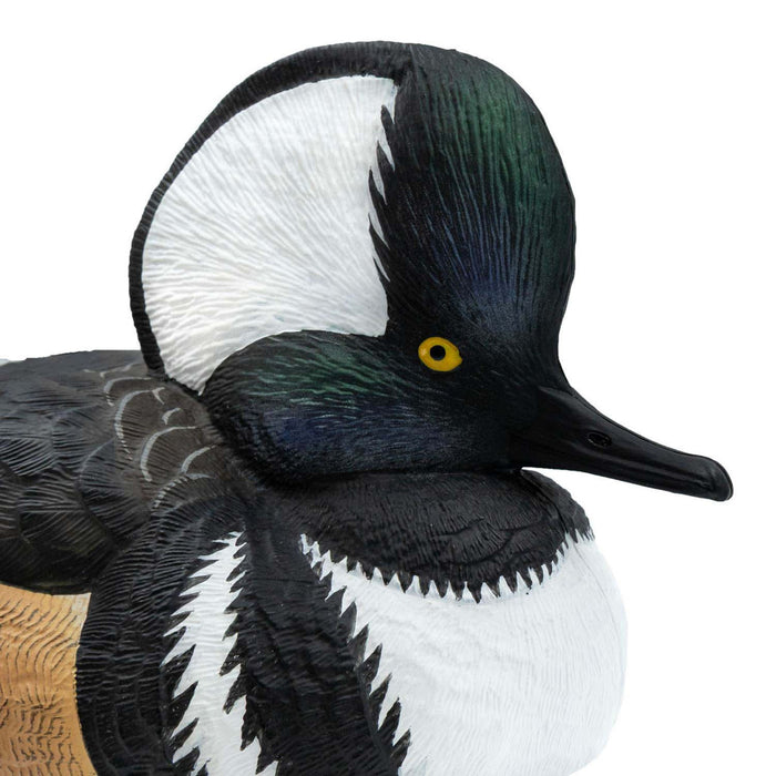 Live Hooded Merganser Duck Decoys, 6 Pack