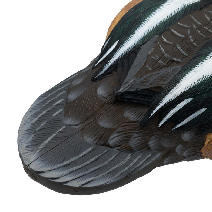 Live Hooded Merganser Duck Decoys, 6 Pack