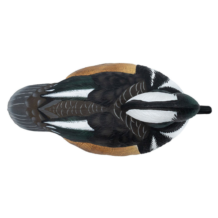 Live Hooded Merganser Duck Decoys, 6 Pack