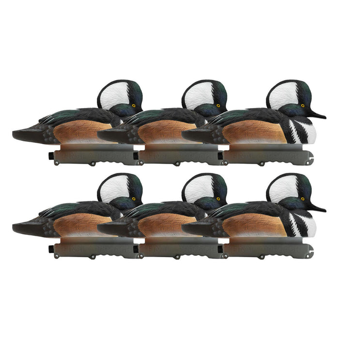 Live Hooded Merganser Duck Decoys, 6 Pack