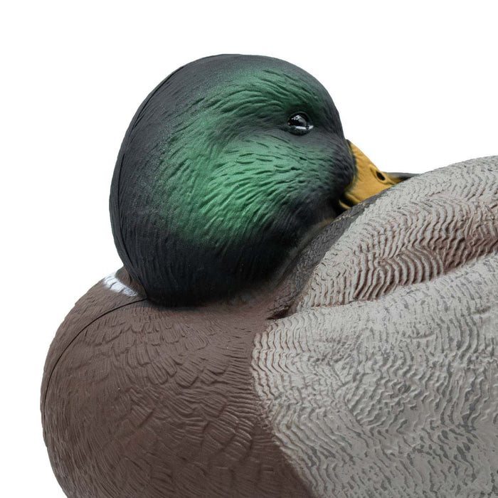 HD Floating Mallard Sleeper Preener, 6 Pack