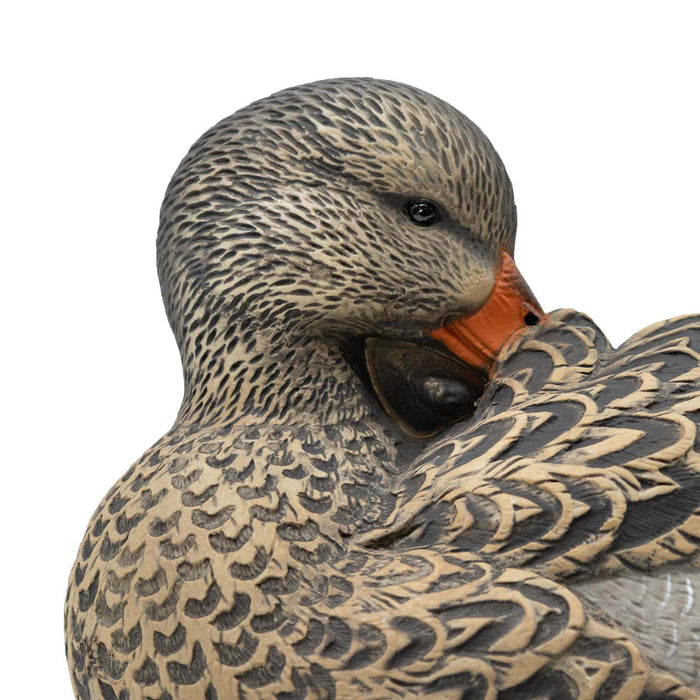 HD Floating Mallard Sleeper Preener, 6 Pack
