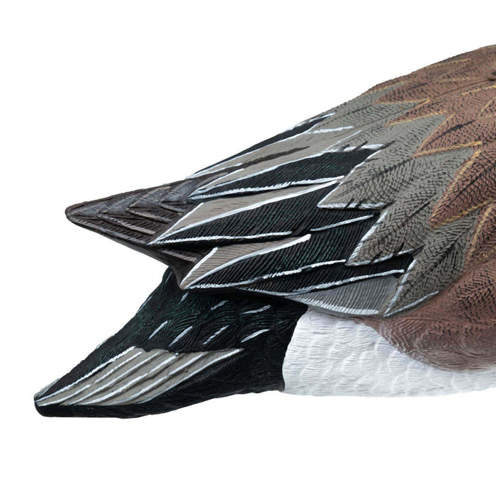 HD Full Body Wigeon Duck Decoys, 6 Pack