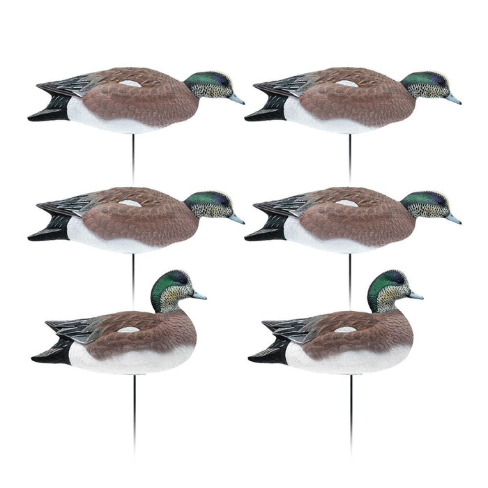 HD Full Body Wigeon Duck Decoys, 6 Pack
