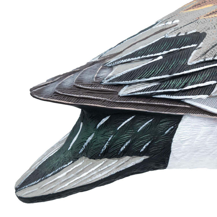 HD Full Body Wigeon Duck Decoys, 6 Pack