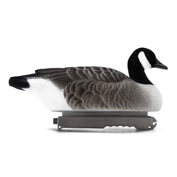 Last Pass Canada Goose Floaters, Fully Flocked DUX Pack