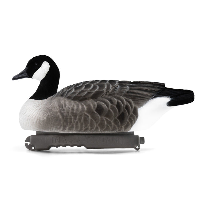 Last Pass Canada Goose Floaters, Fully Flocked DUX Pack