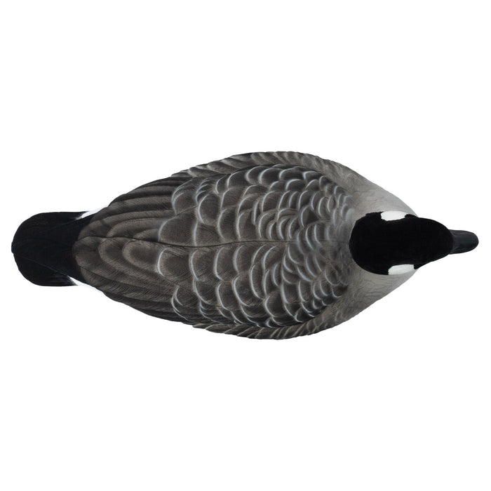 Last Pass Canada Goose Floaters, Fully Flocked DUX Pack
