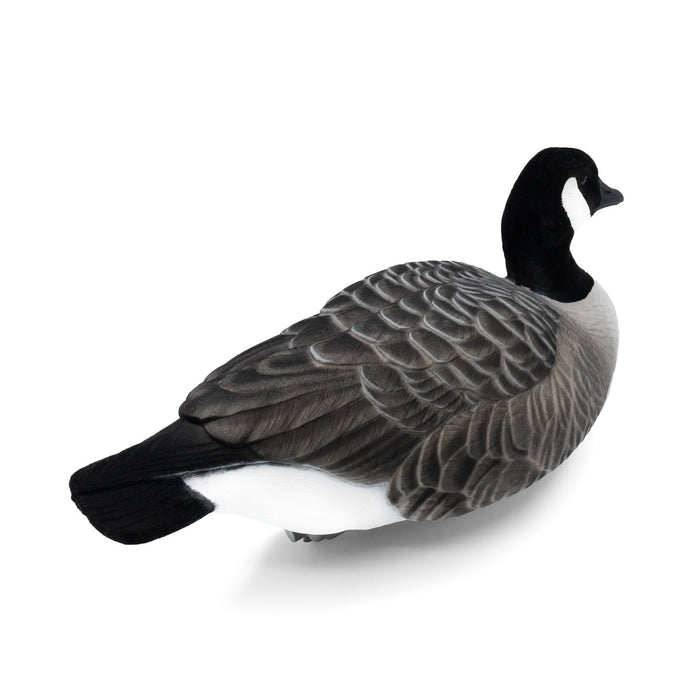 Last Pass Canada Goose Floater Fully Flocked DUX Pack