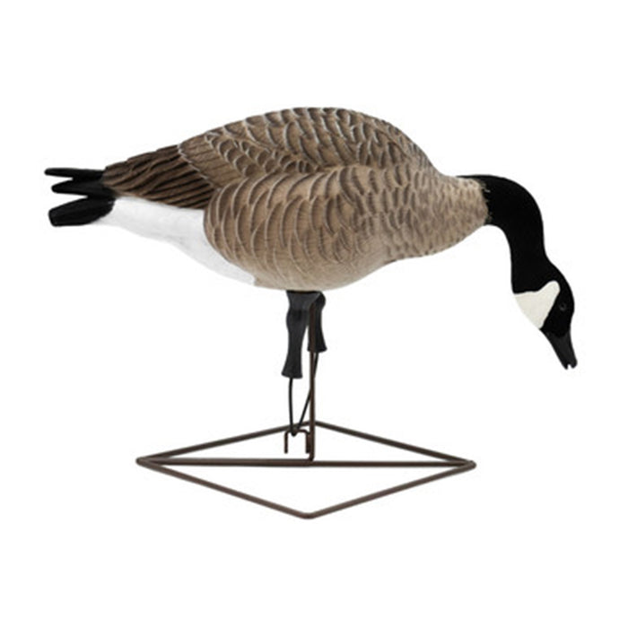 Live Full-Body Honkers, 6 Pack