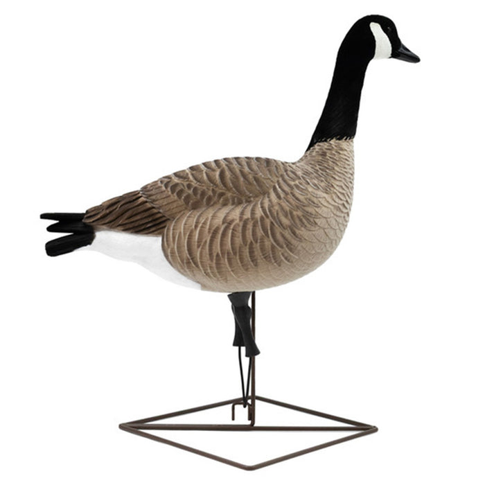 Live Full-Body Fully Flocked Honkers, 6 Pack