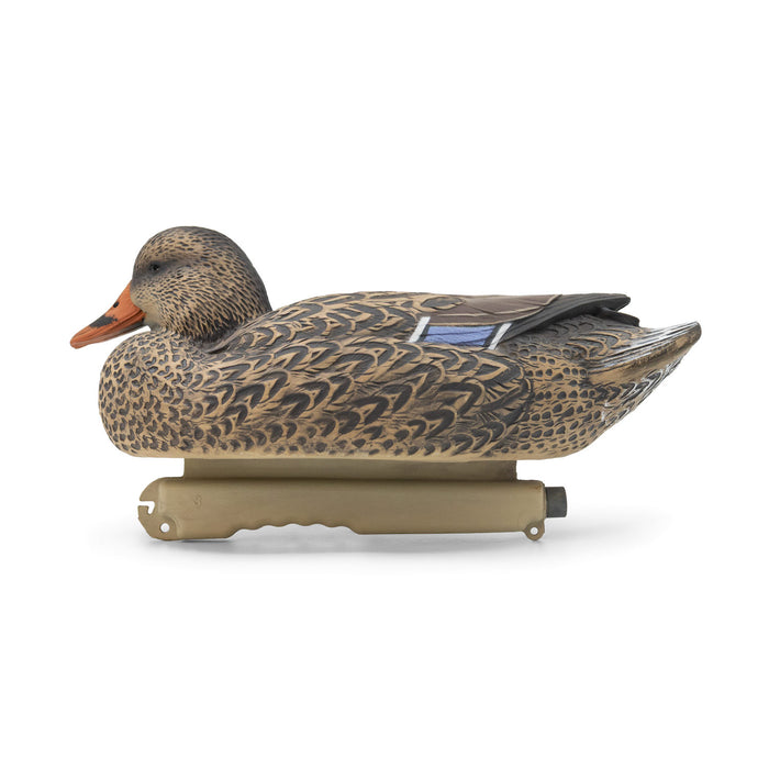 HD Mallard Floaters With Flocked Drake Heads, 12 Pack